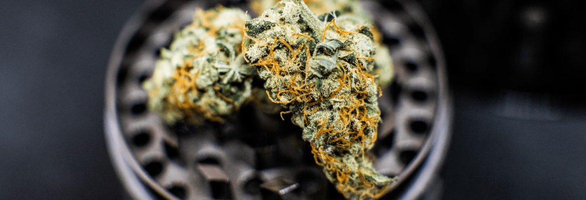 Mr. Nice Guys Smoke Emporium